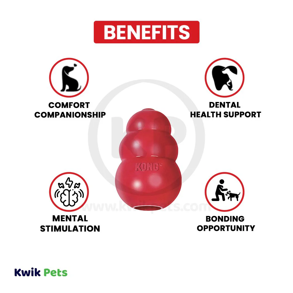KONG Classic Dog Toy Medium - Image 4