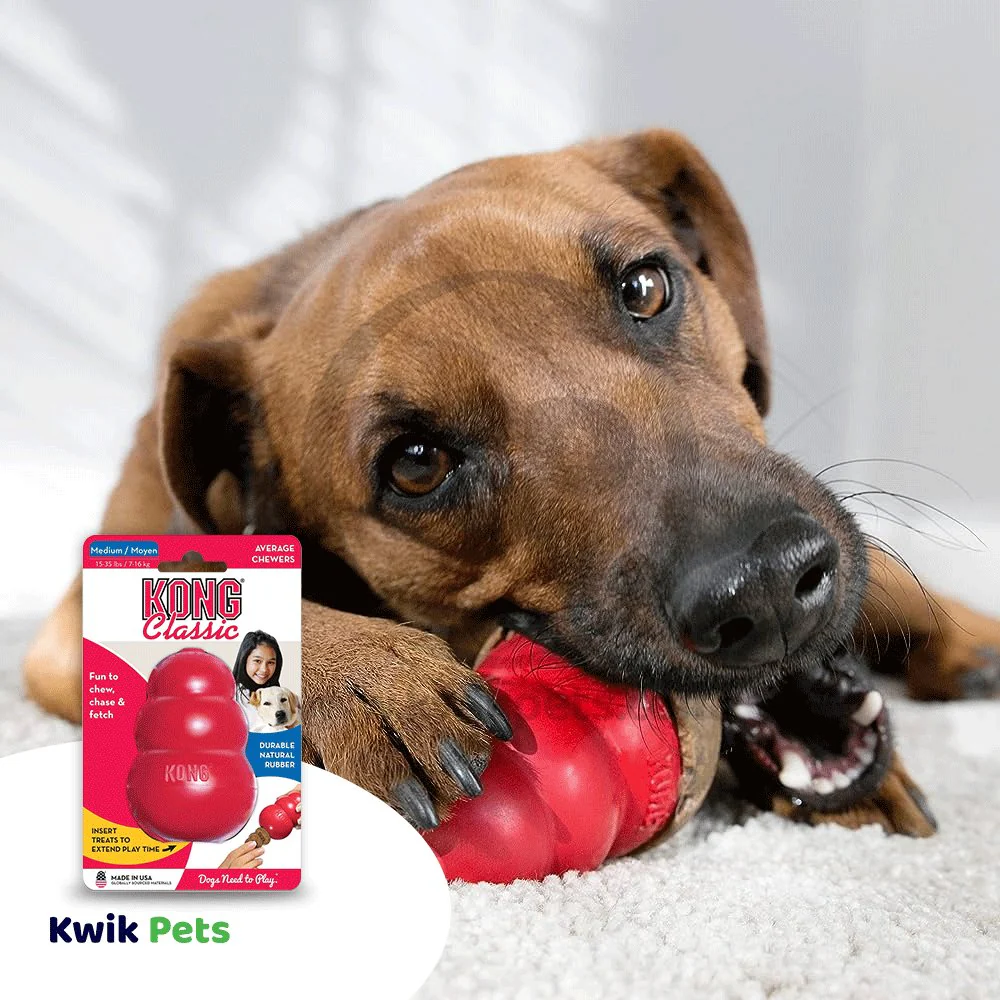 KONG Classic Dog Toy Medium - Image 5