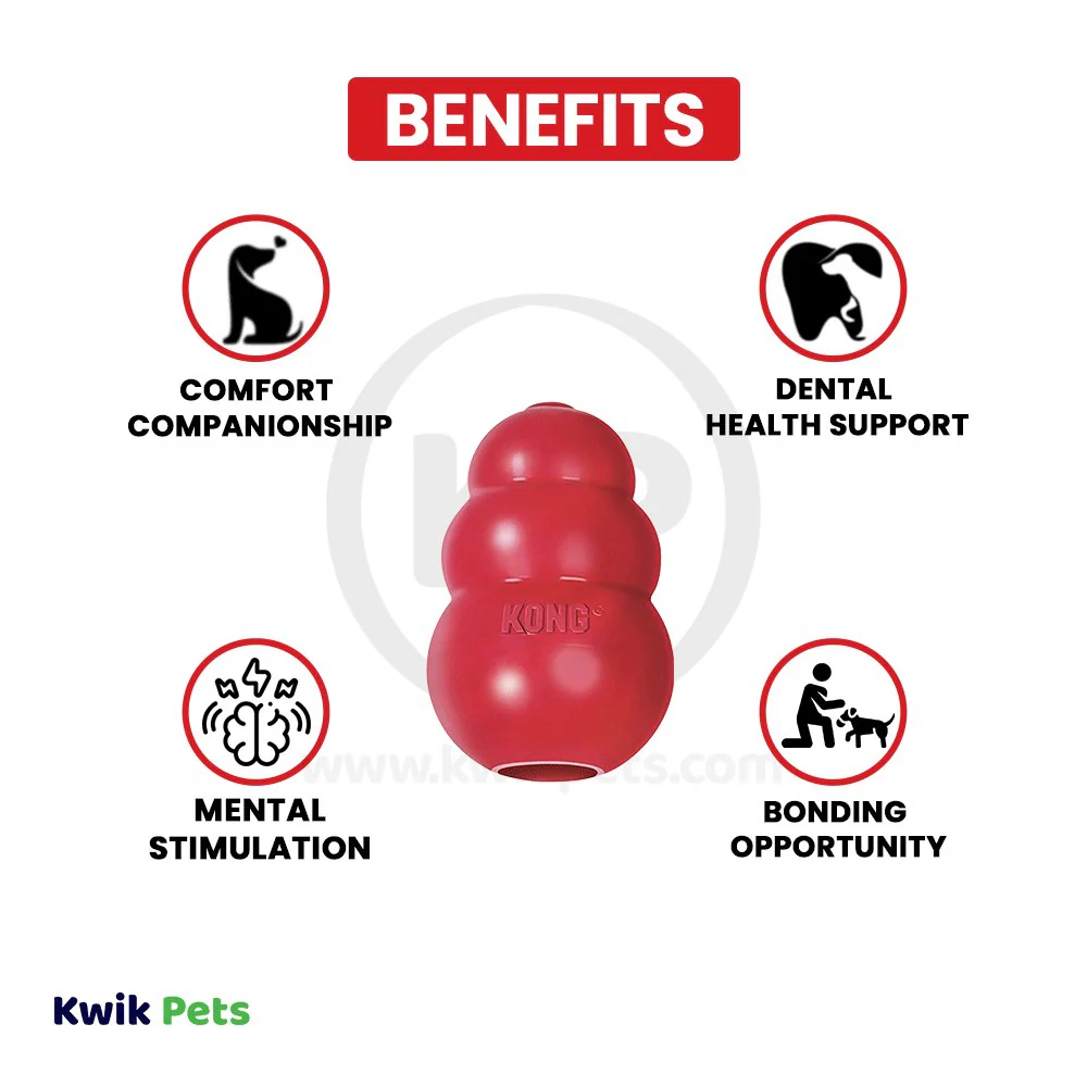 KONG Classic Dog Toy Small - Image 3