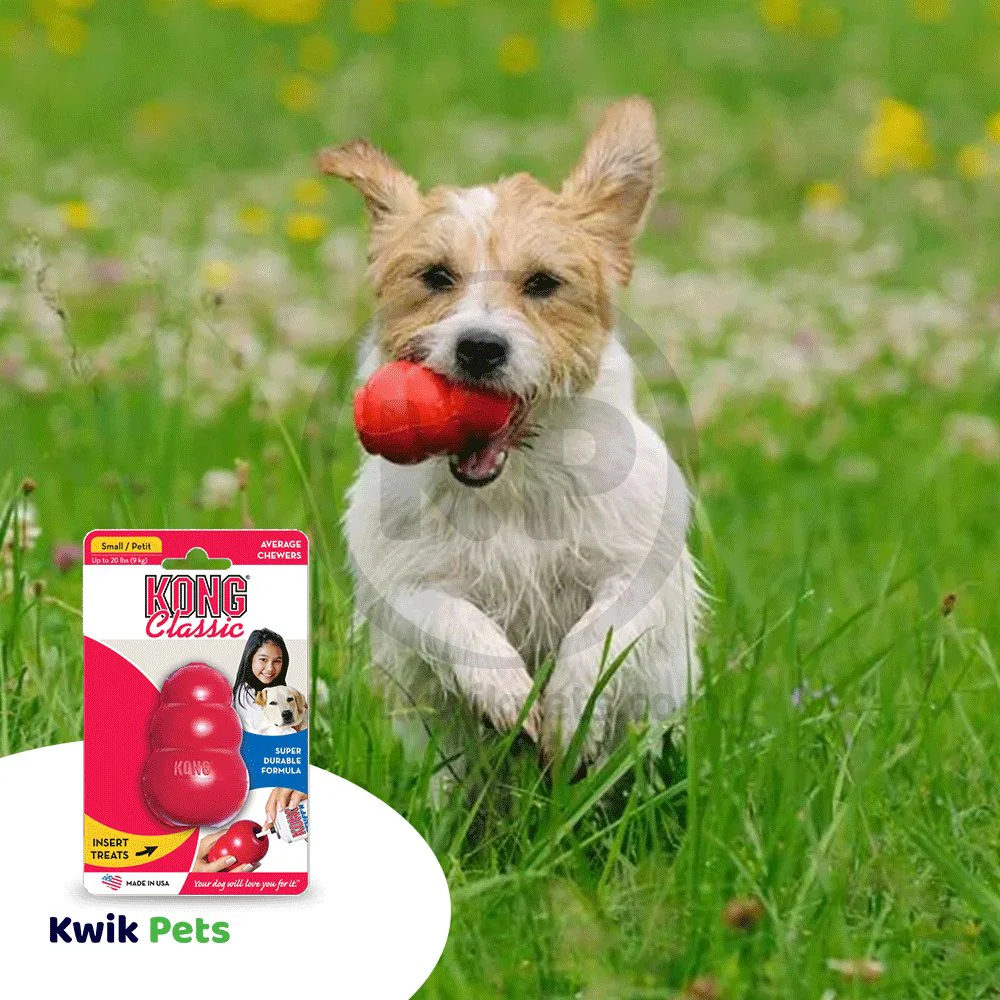 KONG Classic Dog Toy Small - Image 5