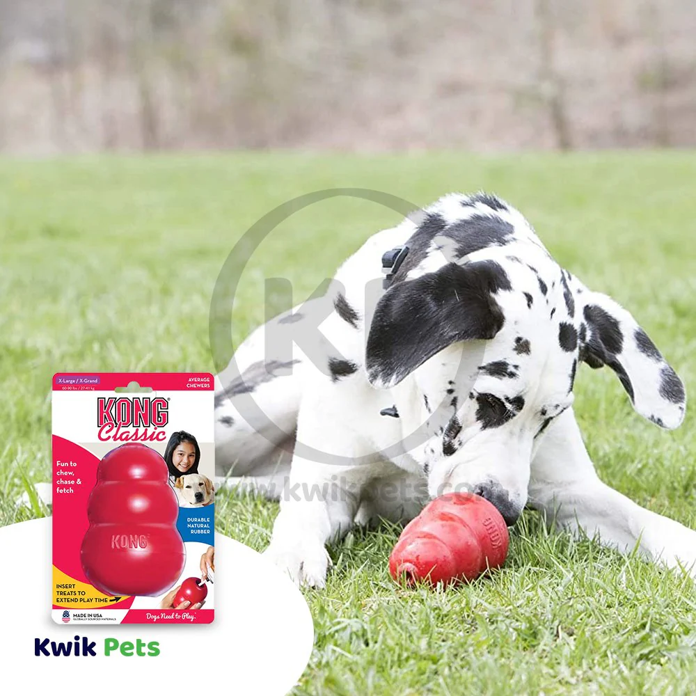 KONG Classic Dog Toy XL - Image 5