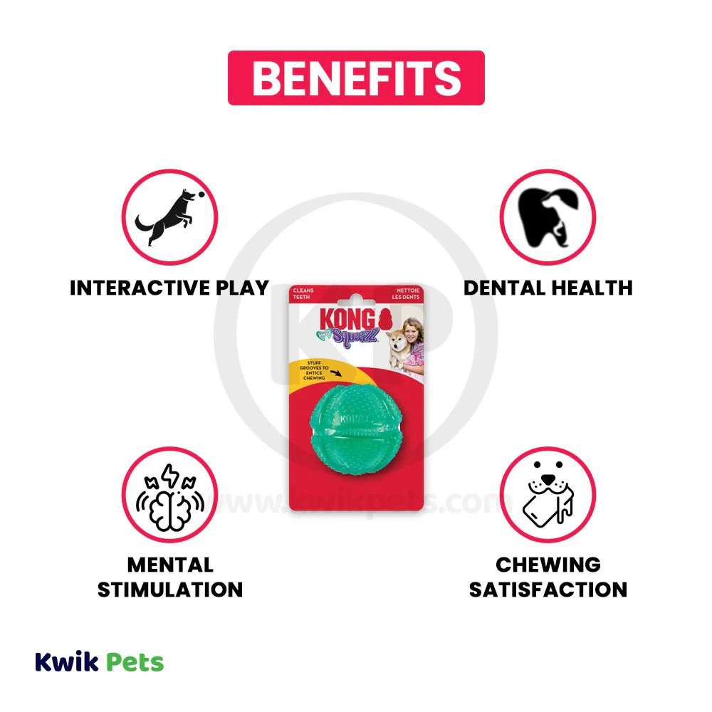 KONG Dental Squeezz Ball Dog Chew Toy Teal Medium - Image 4
