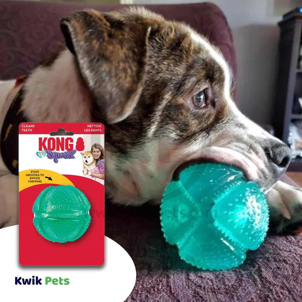 KONG Dental Squeezz Ball Dog Chew Toy Teal Medium - Image 5