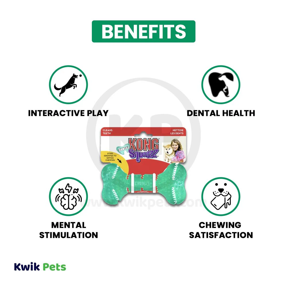 KONG Dental Squeezz Bone Dog Chew Toy Teal Medium - Image 4