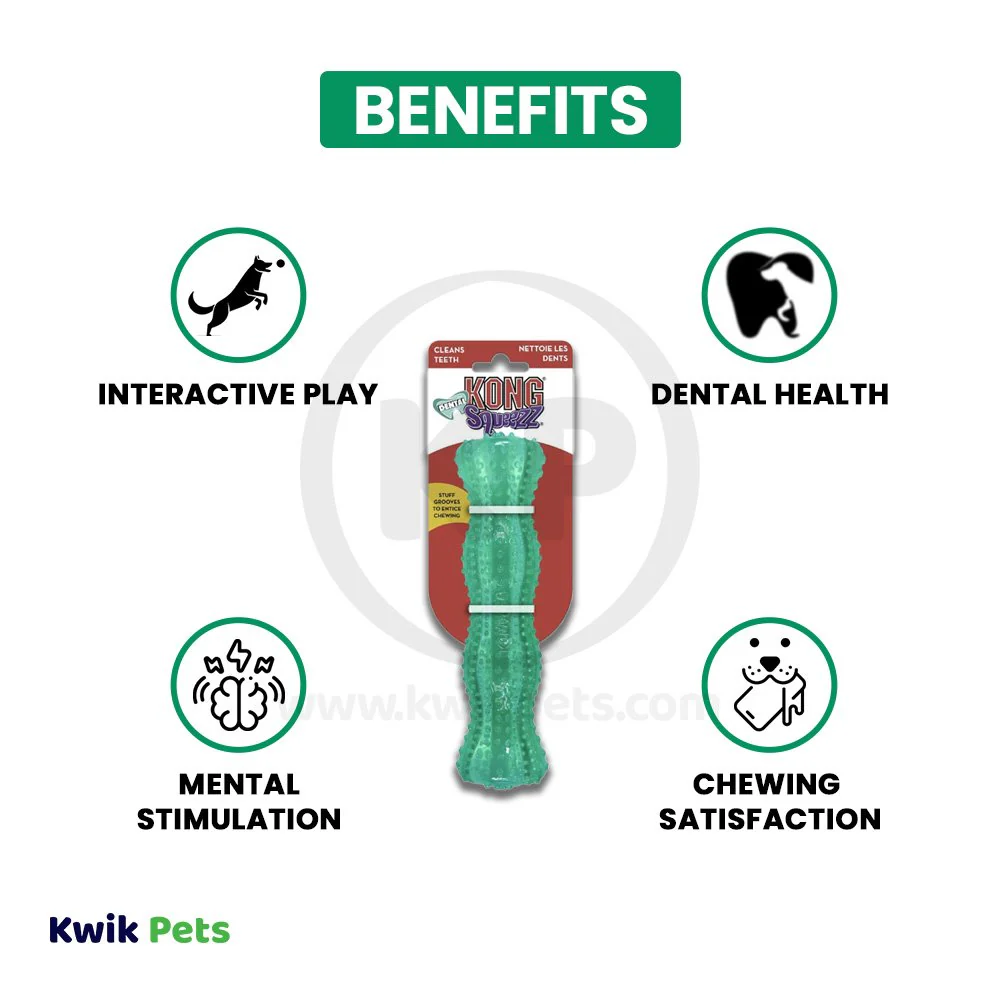 KONG Dental Squeezz Stick Dog Chew Toy Teal Medium - Image 4