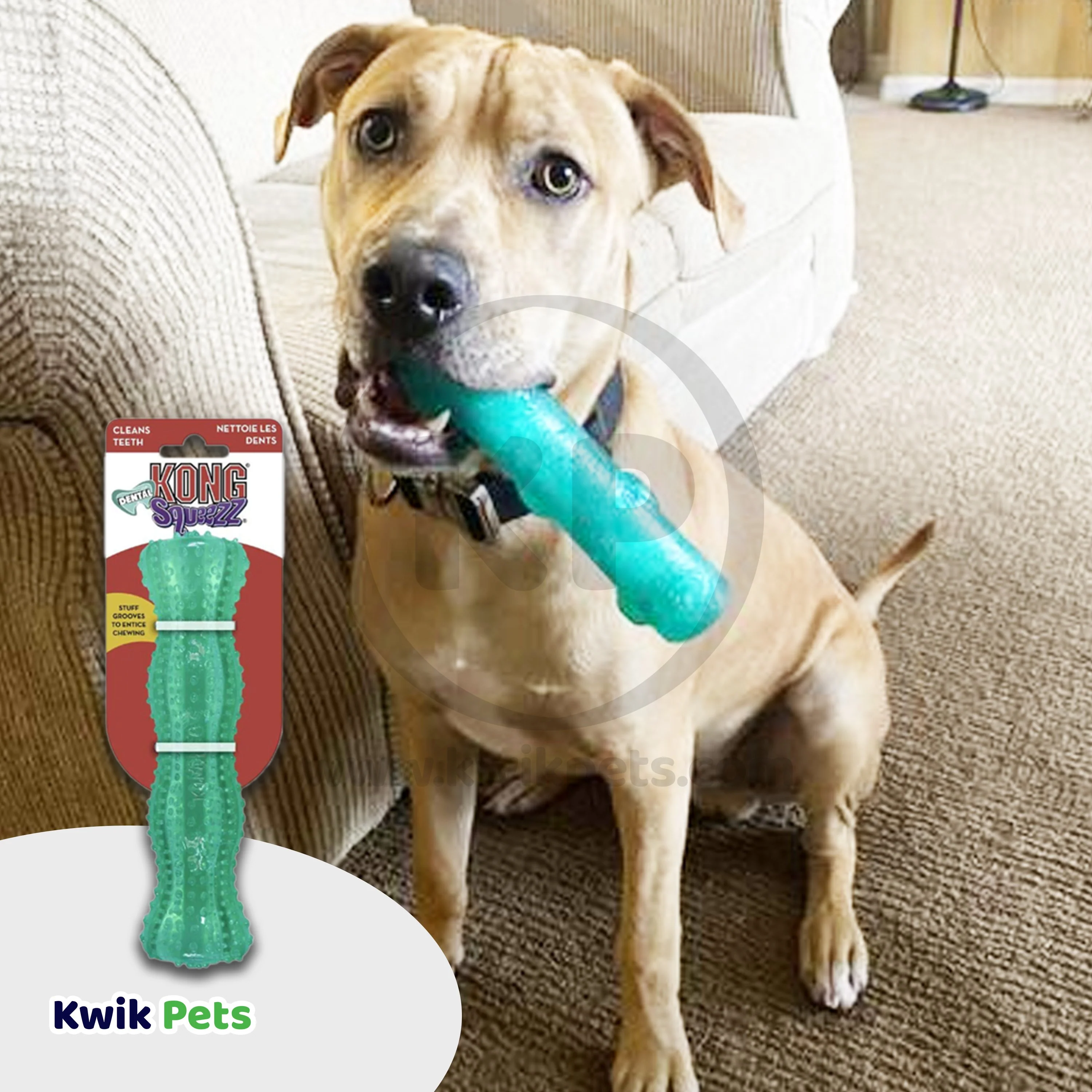 KONG Dental Squeezz Stick Dog Chew Toy Teal Medium - Image 5