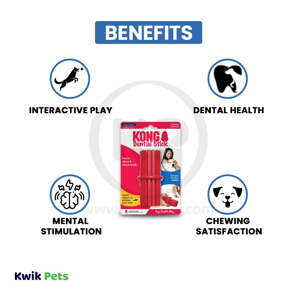 KONG Dental Stick Chew Dog Toy Large - Image 4