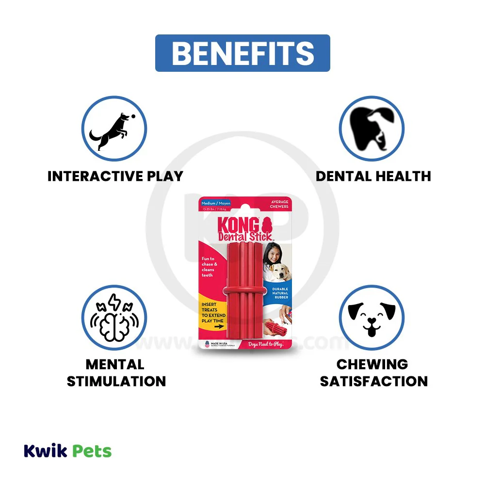 KONG Dental Stick Chew Dog Toy Medium - Image 4