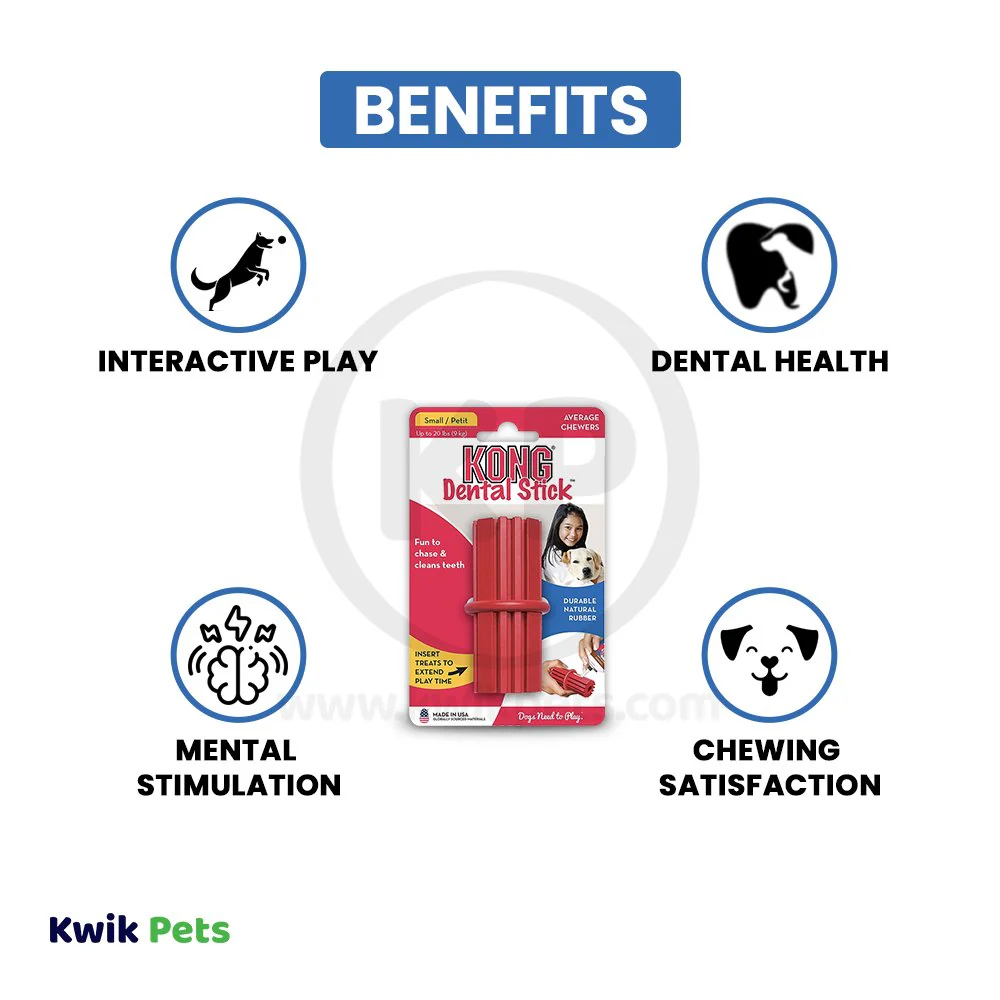 KONG Dental Stick Chew Dog Toy Small - Image 4