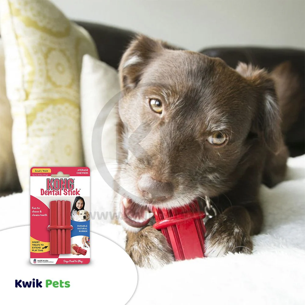KONG Dental Stick Chew Dog Toy Small - Image 5
