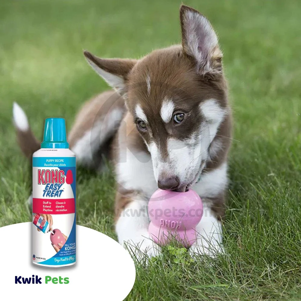 KONG Easy Treats Paste Puppy Treats Chicken Liver 8-oz - Image 5