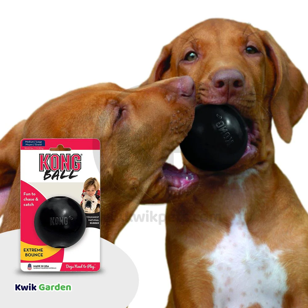 KONG Extreme Ball Dog Toy Black Medium/Large - Image 5