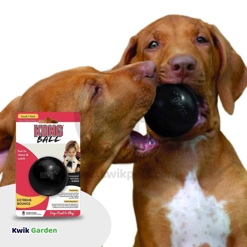 KONG Extreme Ball Dog Toy Black Small - Image 5