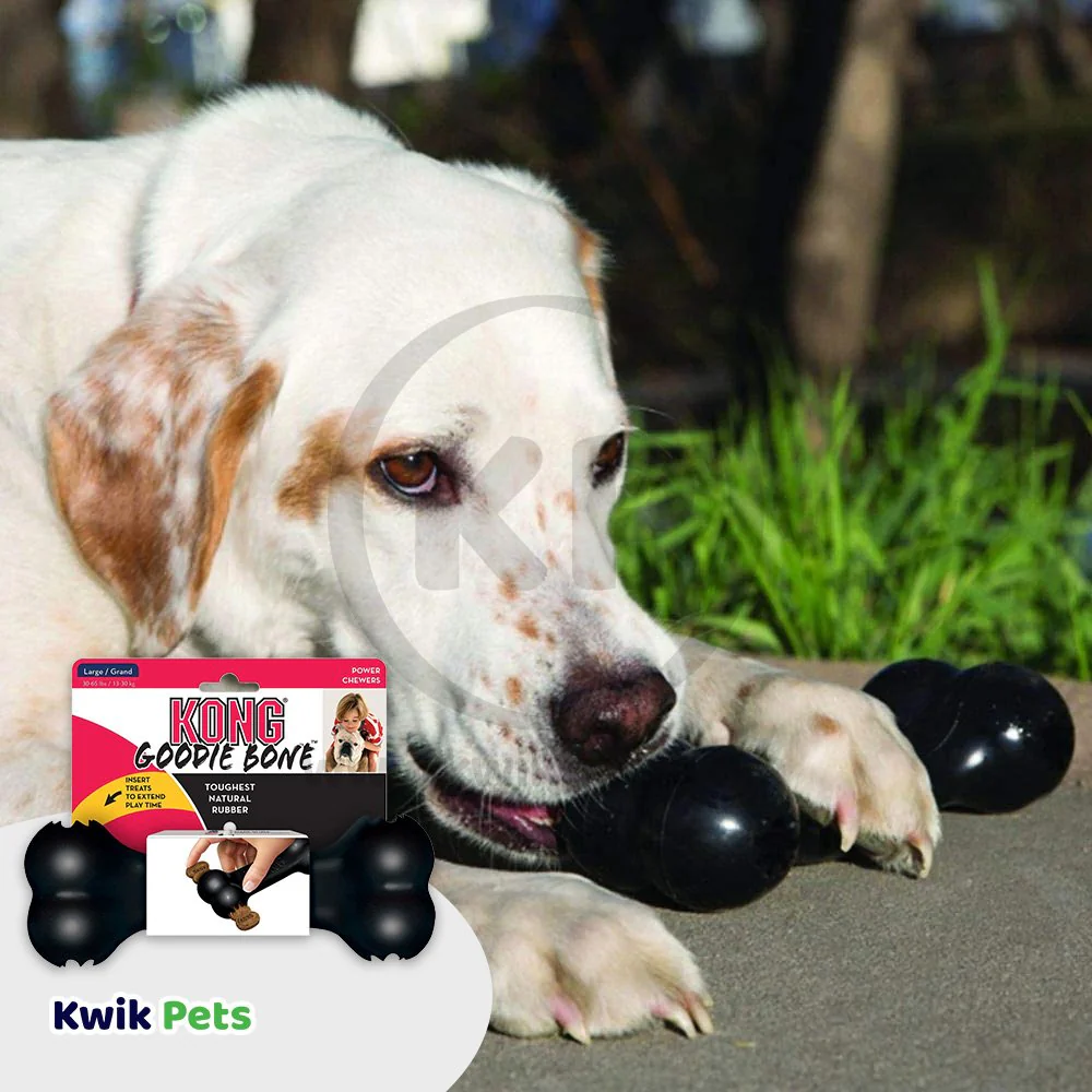 KONG Extreme Goodie Bone Dog Toy Medium - Image 5