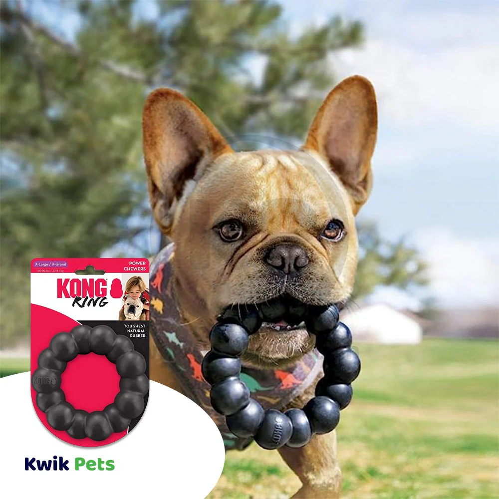 KONG Extreme Ring Dog Toy XL - Image 4