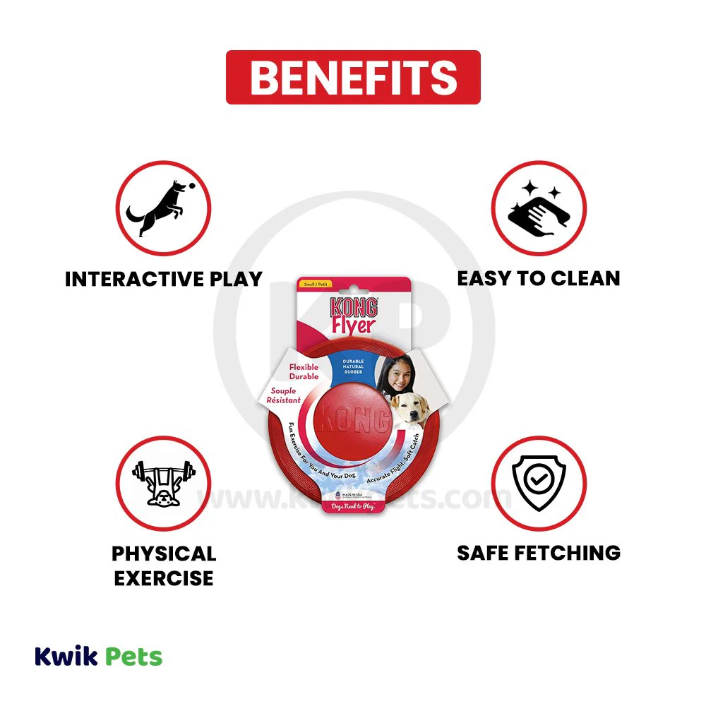 KONG Puppy Flyer Dog Toy Assorted Small - Image 3