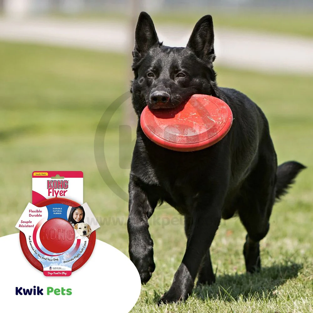 KONG Puppy Flyer Dog Toy Assorted Small - Image 5