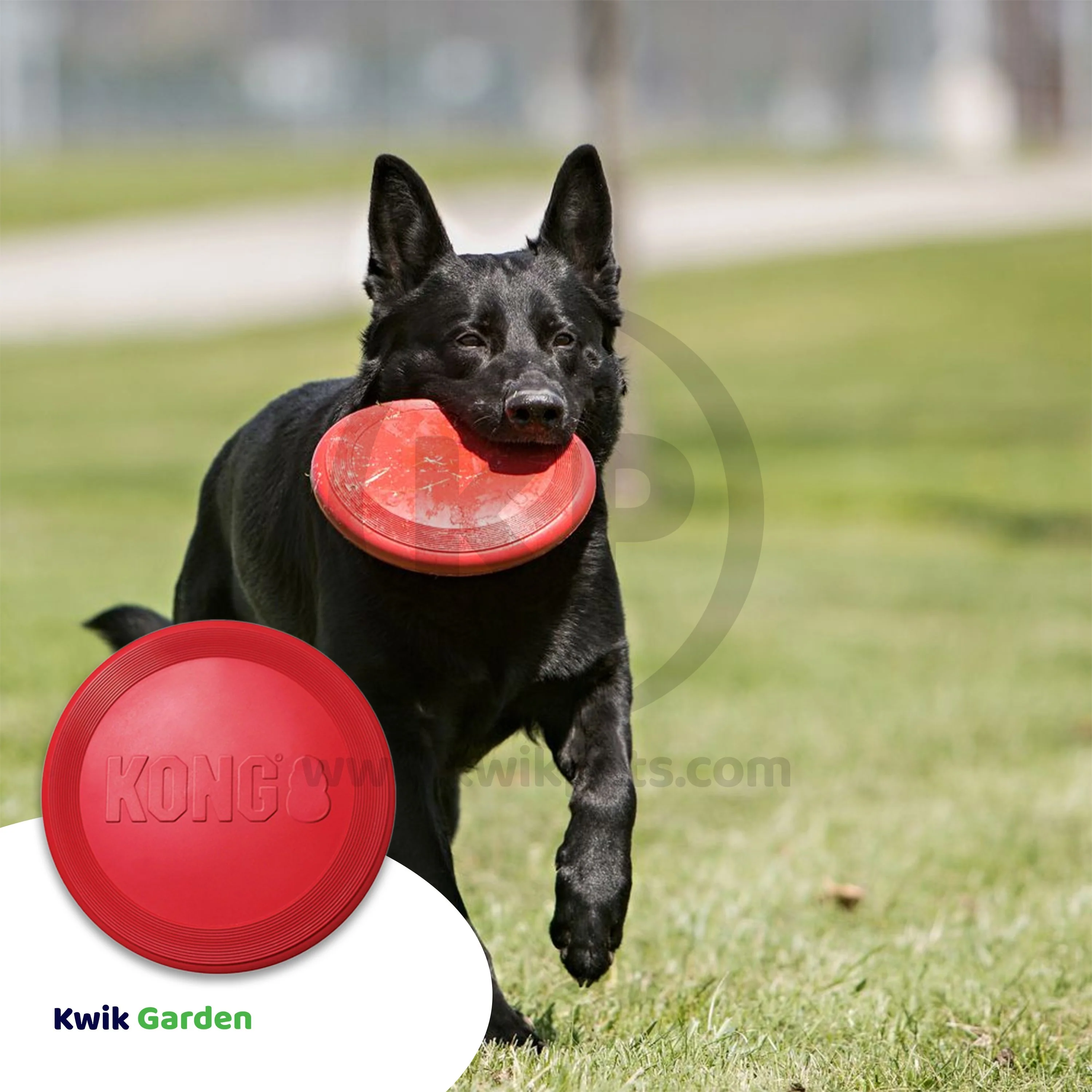 KONG Flyer Dog Toy Red Small - Image 5