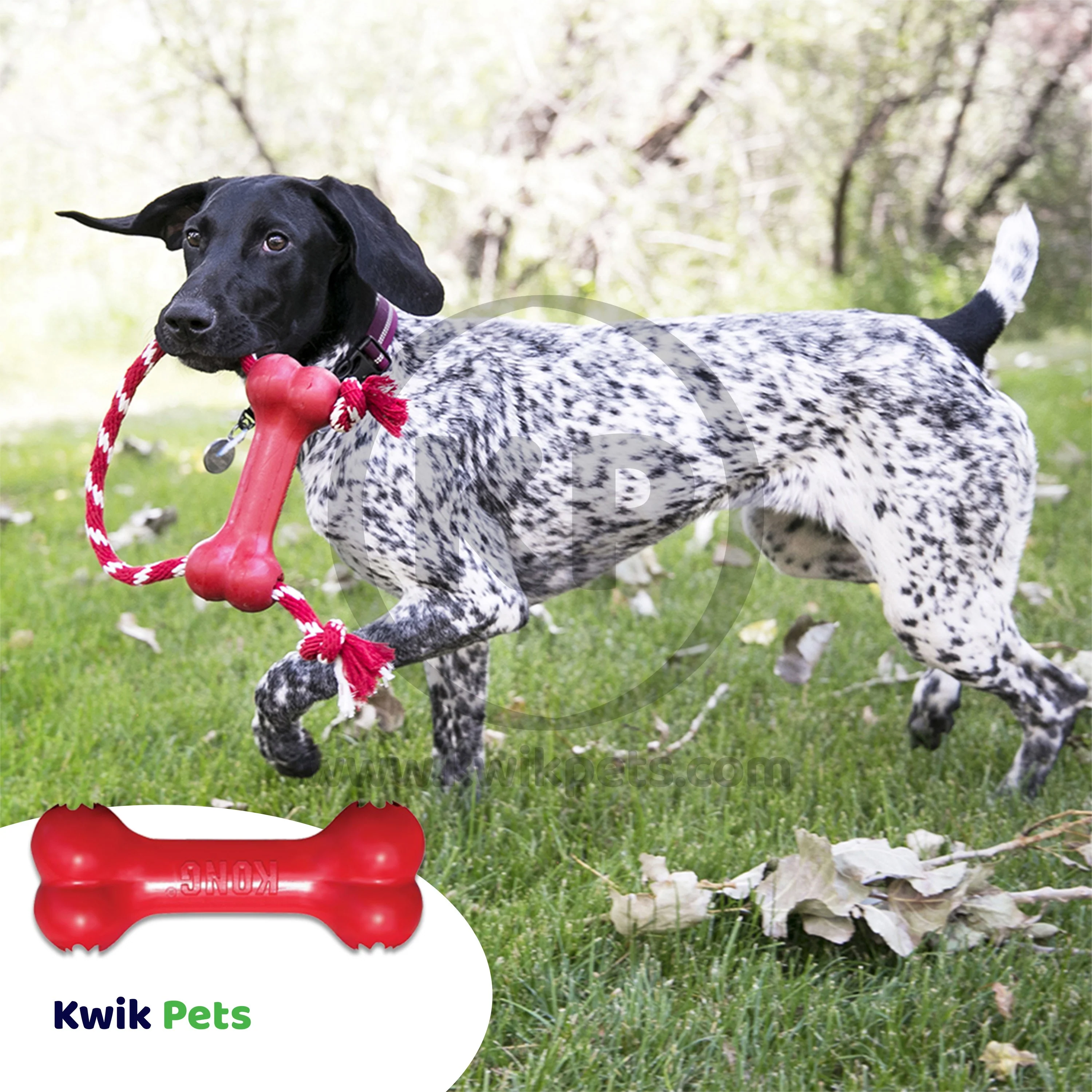 KONG Goodie Bone Dog Toy Small - Image 5