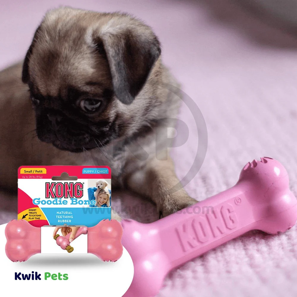 KONG Goodie Bone Puppy Toy Assorted Small - Image 4