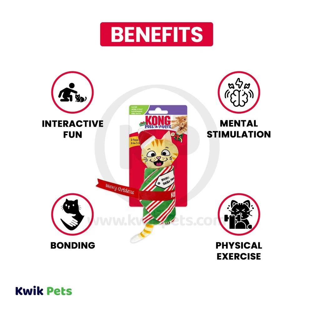 KONG Holiday Pull-A-Partz Cat Toy Present Mouse One Size - Image 3