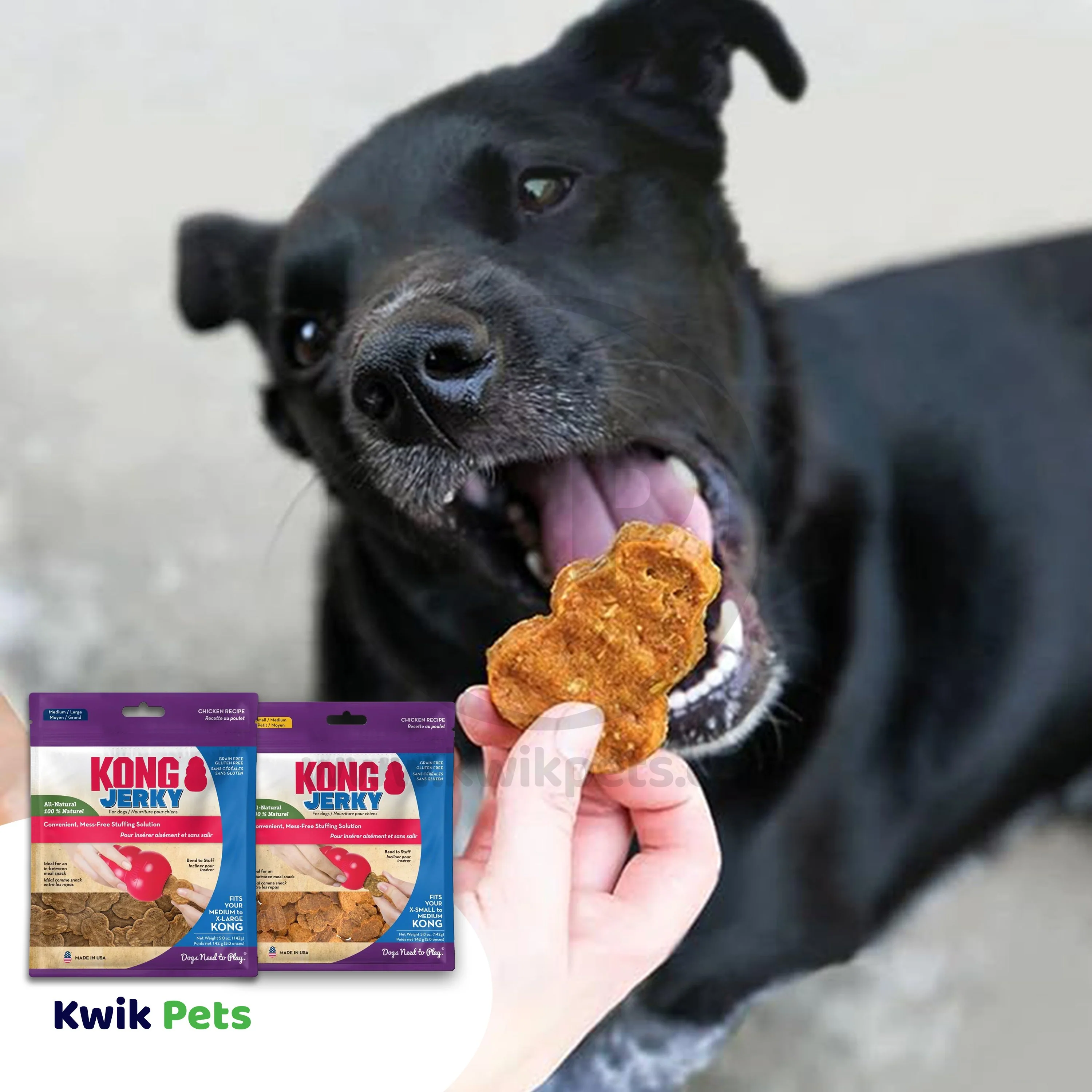KONG Jerky Dog Treat Chicken Medium/Large - Image 5