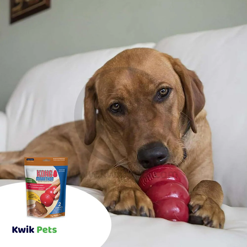 KONG Marathon Peanut Butter Dog Treats 2 Count Large - Image 6