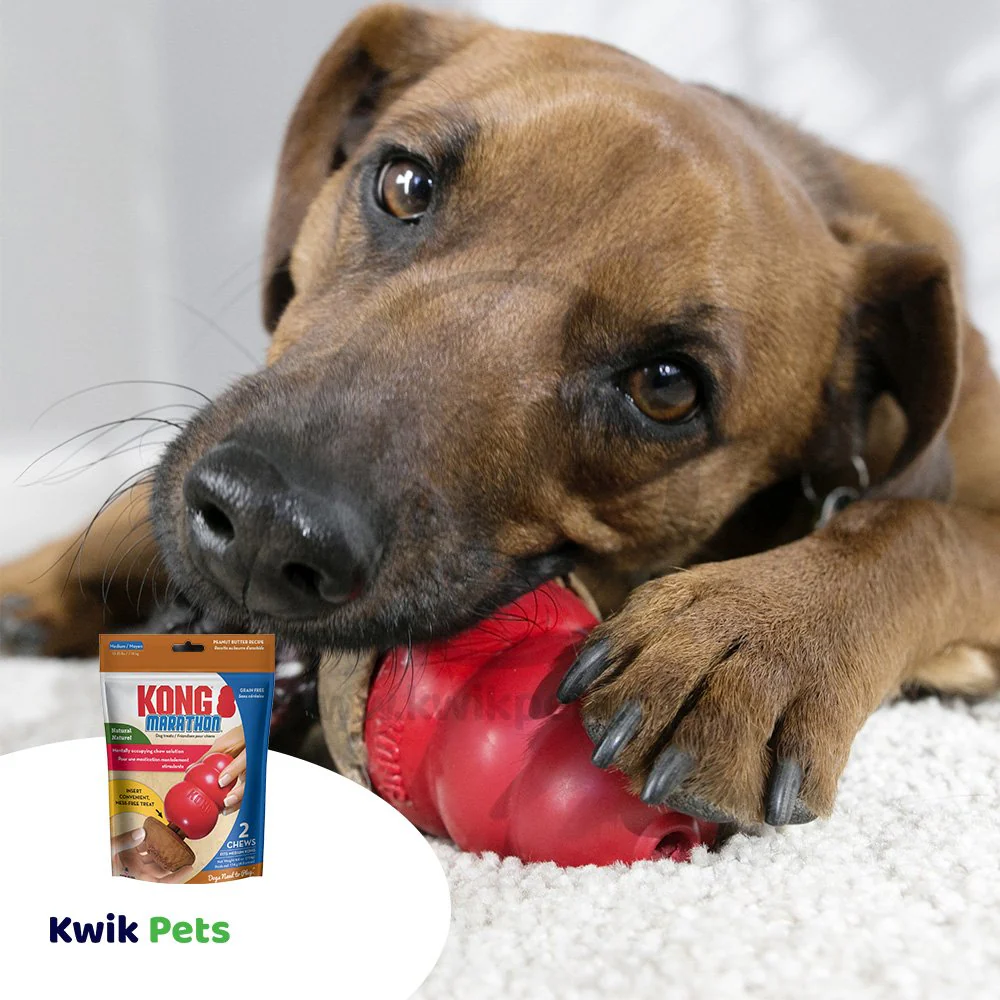 KONG Marathon Peanut Butter Dog Treats 2 Count Medium - Image 6