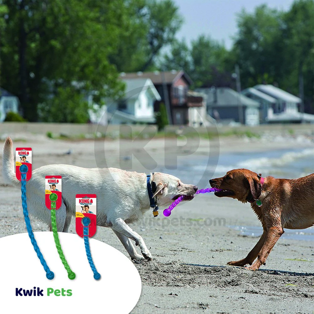 KONG Safestix Dog Toy Assorted Small - Image 5