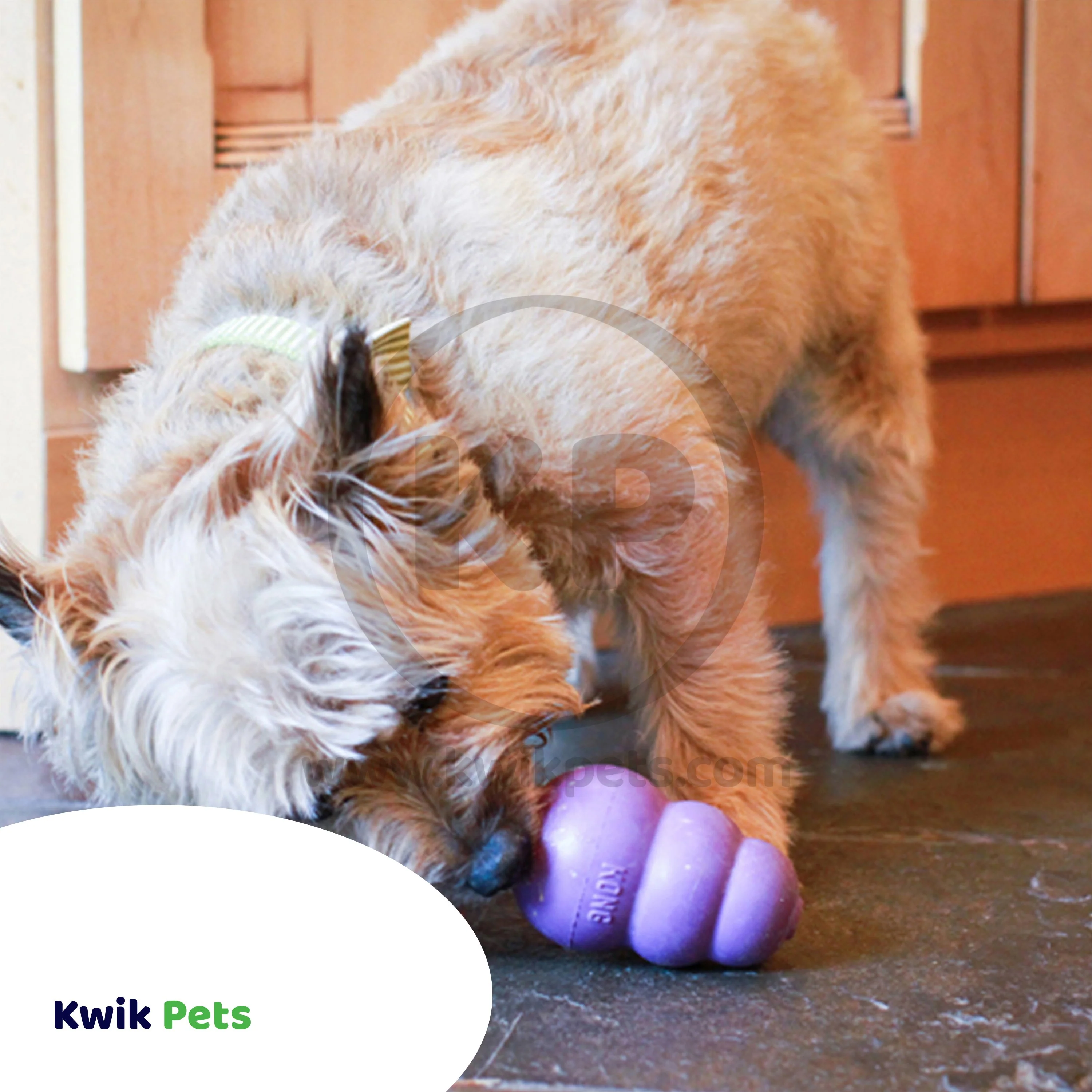 KONG Senior Dog Toy Medium - Image 5