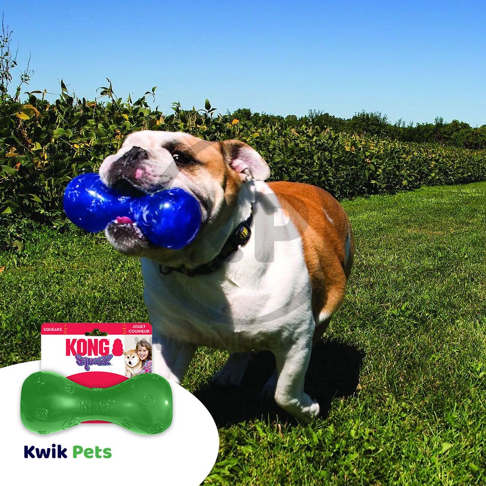 KONG Squeezz Dumbbell Dog Toy Assorted Large - Image 5