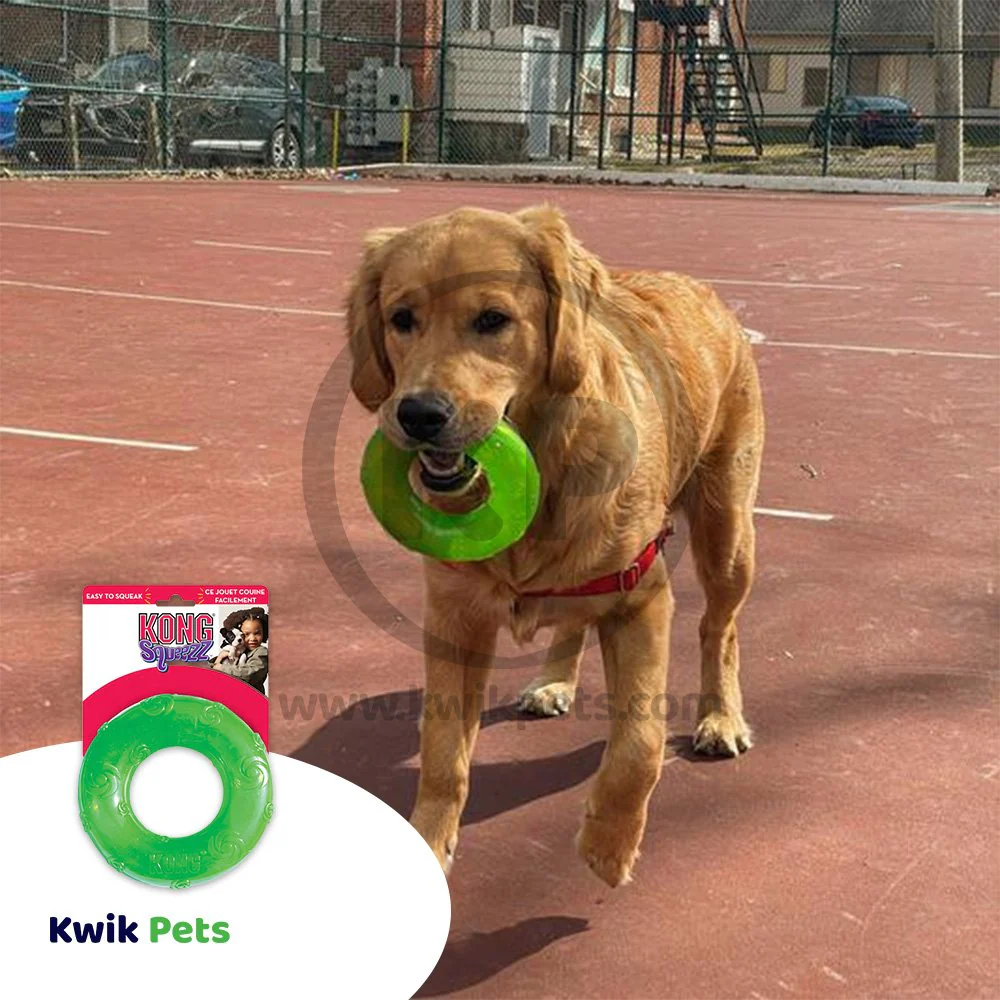 KONG Squeezz Ring Dog Toy Assorted Large - Image 4