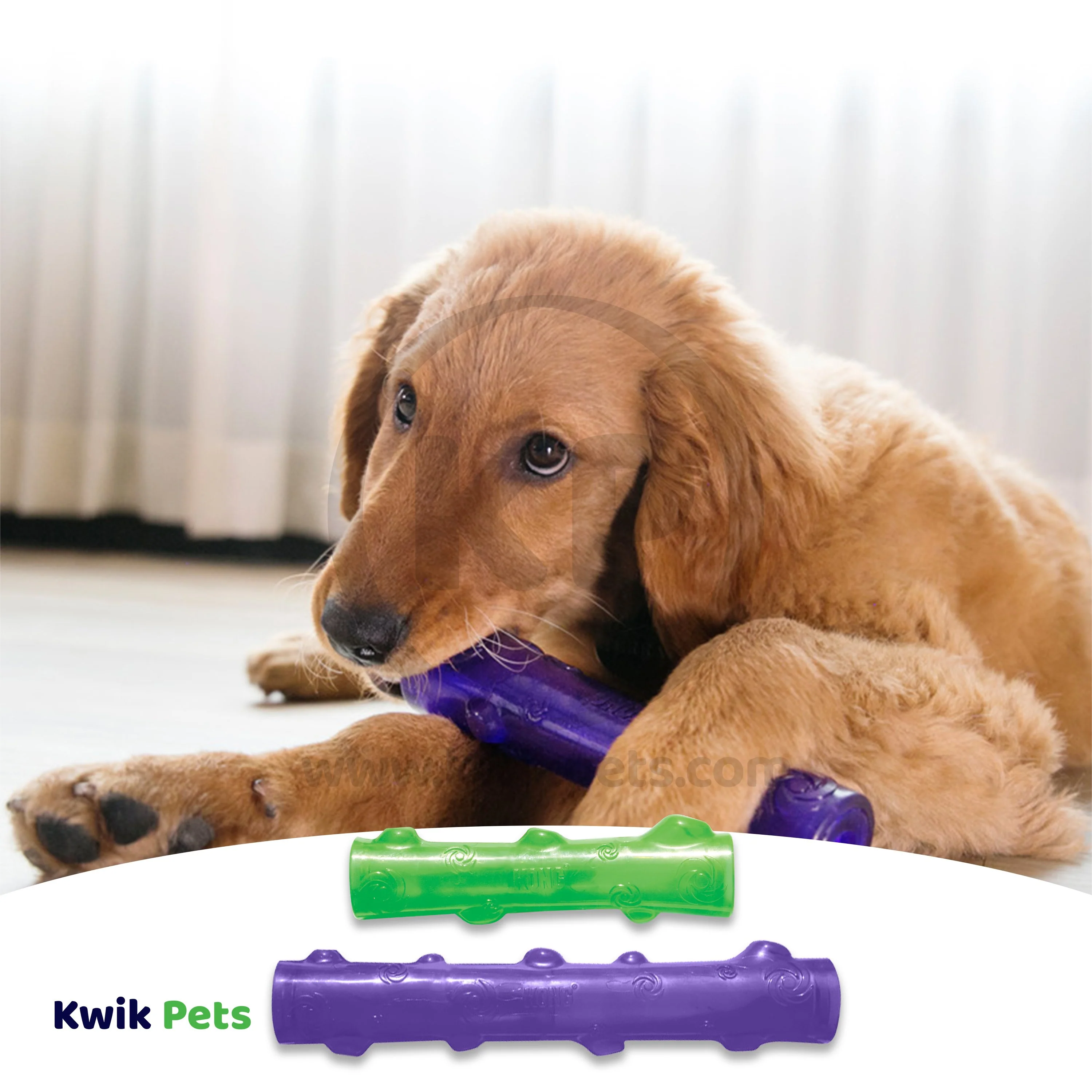 KONG Squeezz Stick Dog Toy Assorted Medium - Image 5