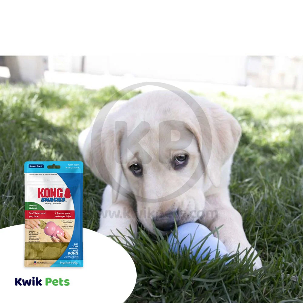 KONG Stuff'N Snacks Puppy Treats Chicken Liver Large 11-oz - Image 6