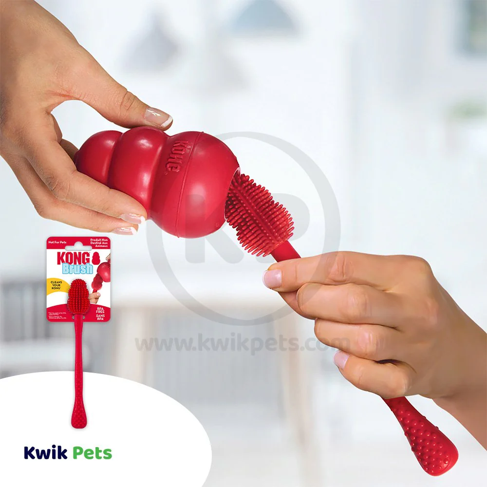 KONG Cleaning Brush Toy One Size - Image 4