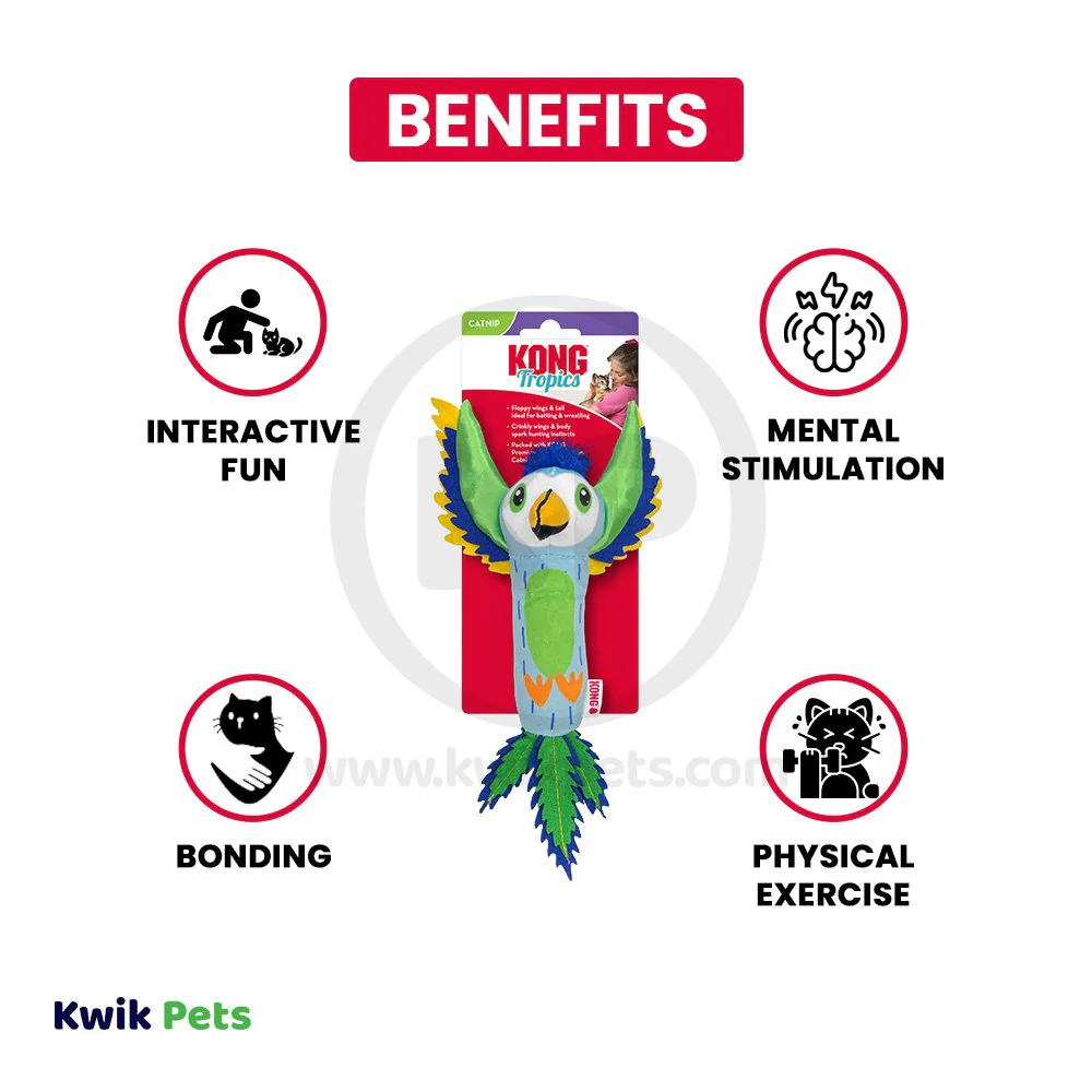 KONG Tropics Bird Cat Toy Assorted One Size - Image 3