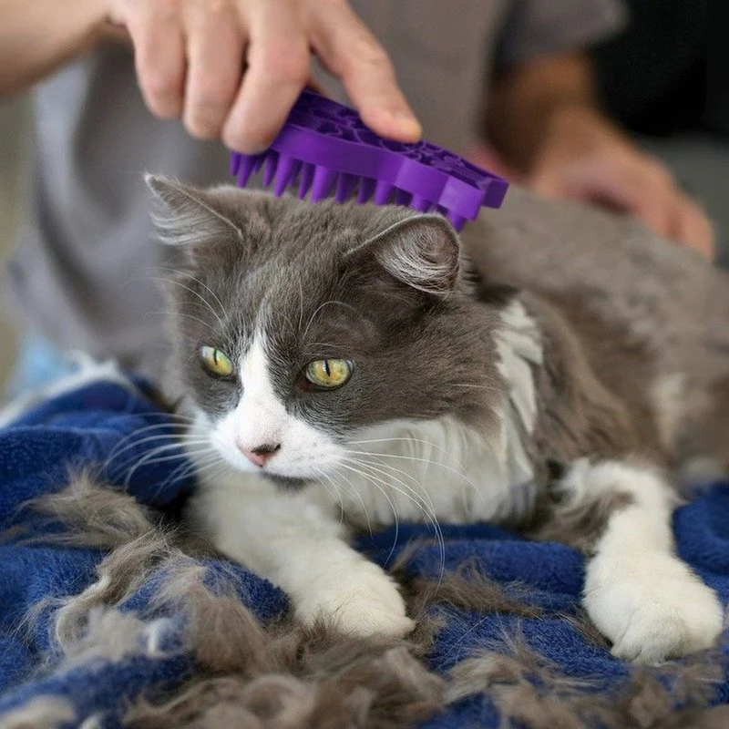 KONG Zoomgroom Cat Brush Purple One Size - Image 3
