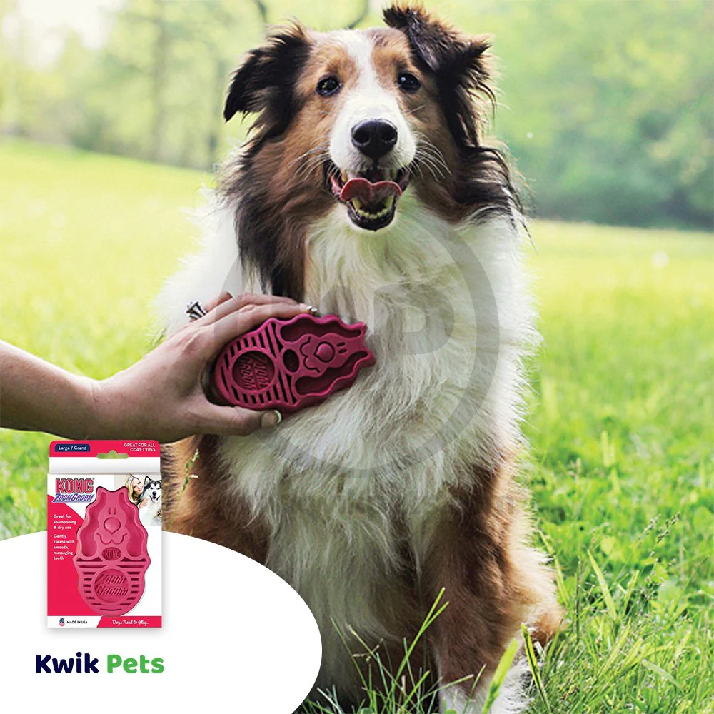 KONG Zoomgroom Rubber Dog Brush Raspberry Large - Image 7