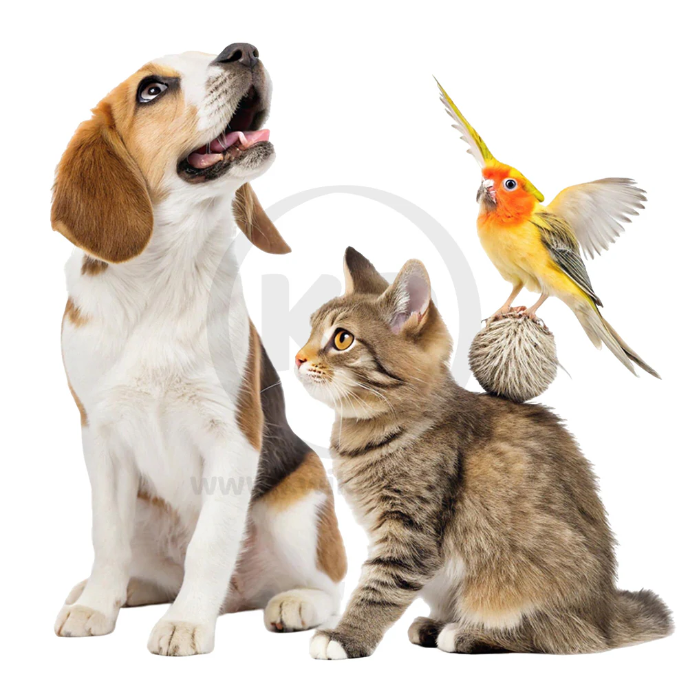 Kwik-Stop Styptic Powder for Dogs Cats & Birds 0.5-oz - Image 5
