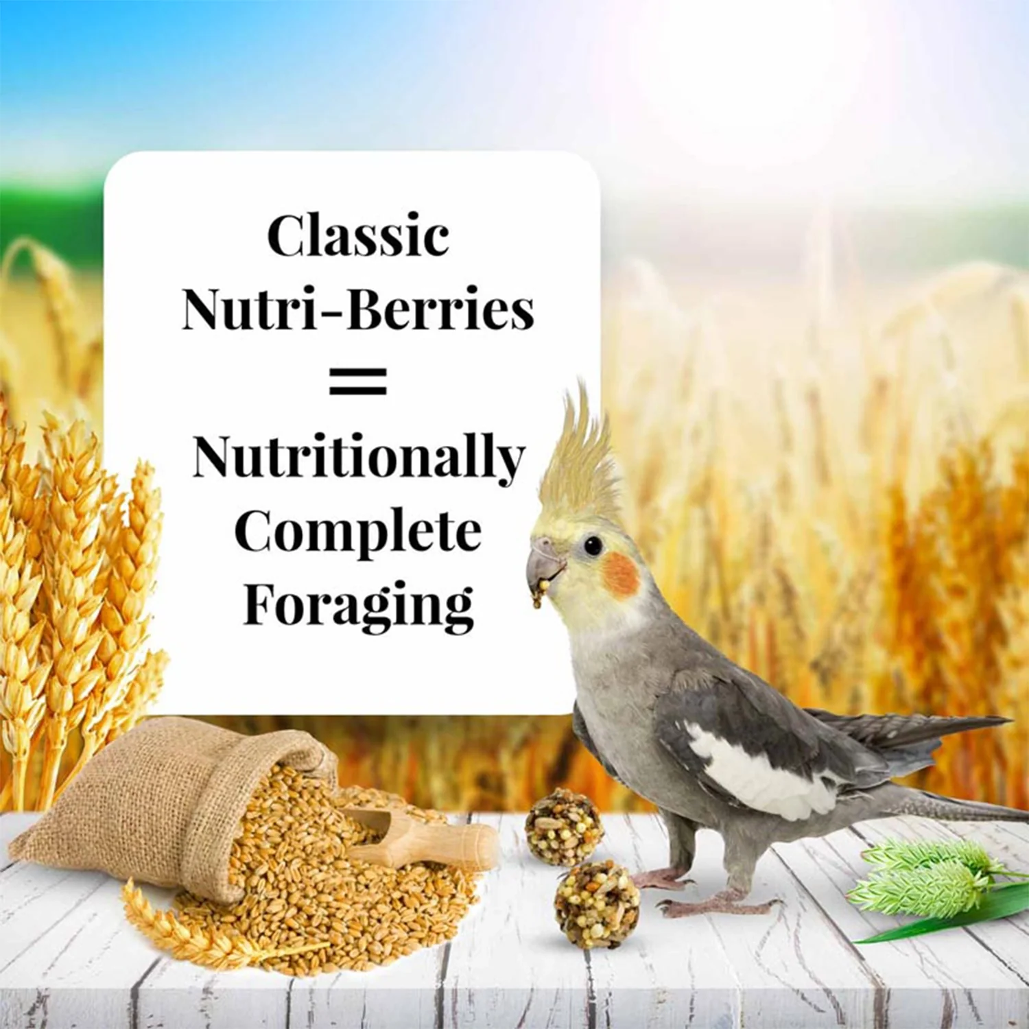 Lafeber Classic Nutri-Berries Cockatiel Bird Food 4-lb - Image 4