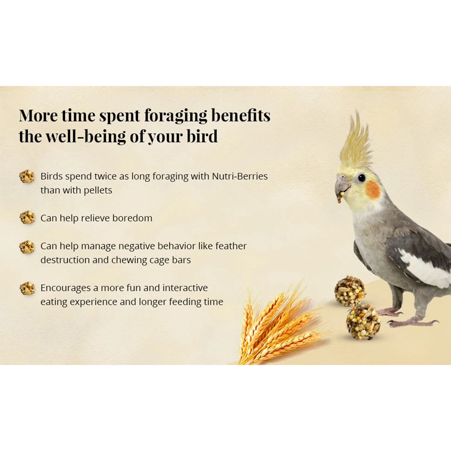 Lafeber Classic Nutri-Berries Cockatiel Bird Food 4-lb - Image 5