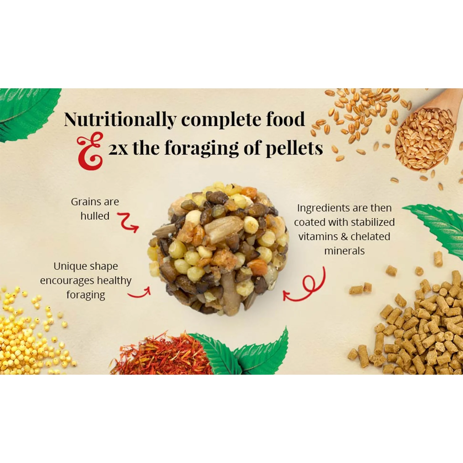 Lafeber Classic Nutri-Berries Cockatiel Bird Food 4-lb - Image 7