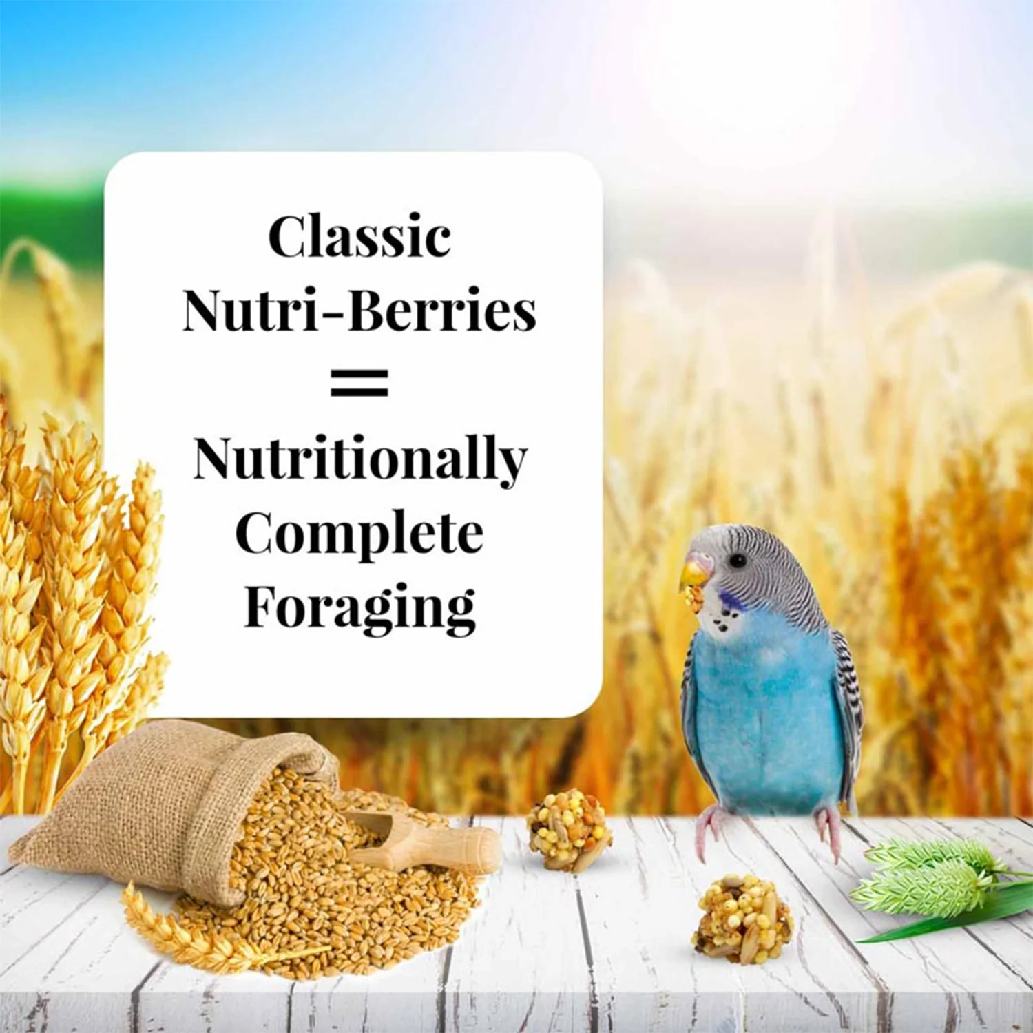 Lafeber Classic Nutri-Berries Parakeet Bird Food 4-lb - Image 4