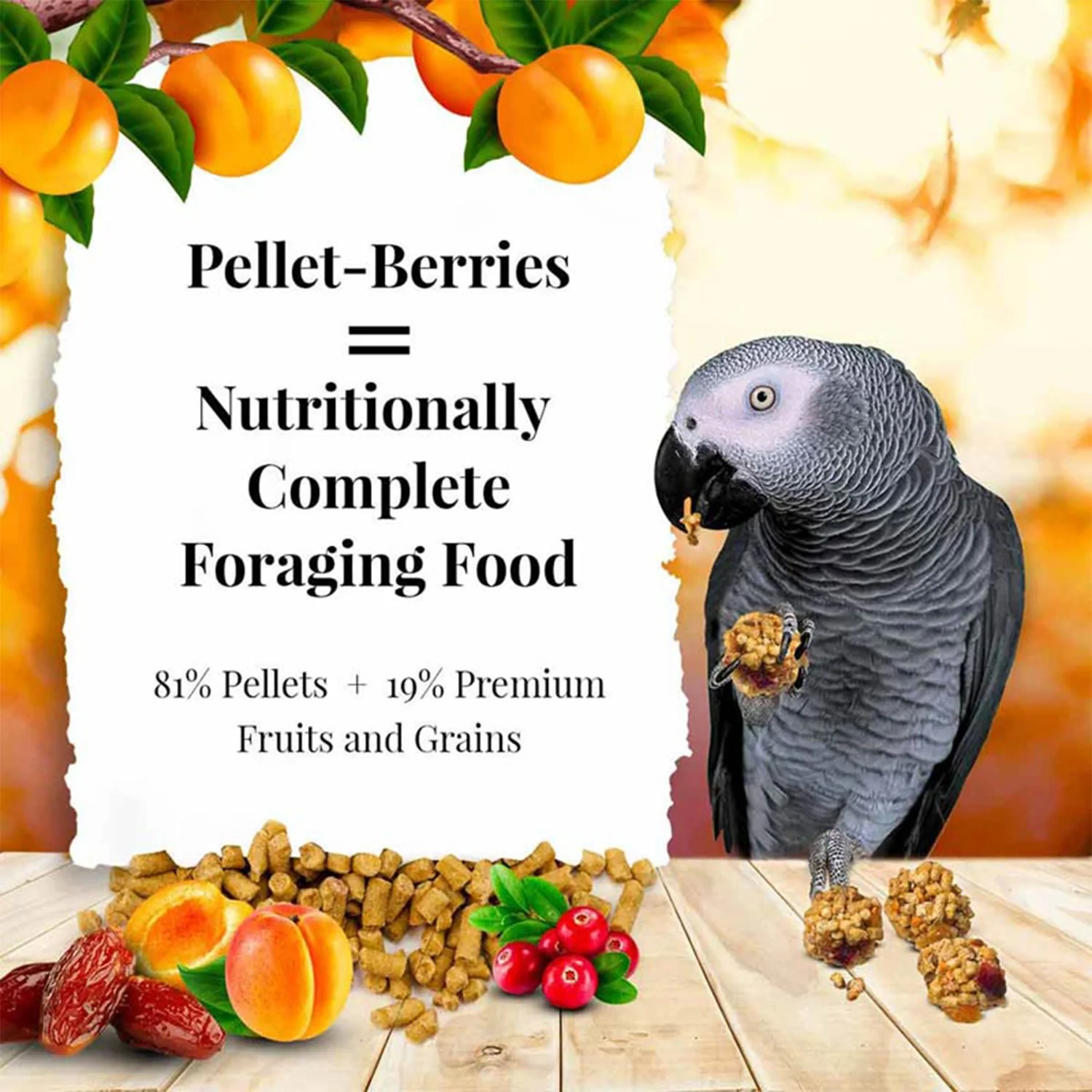 Lafeber Pellet-Berries Sunny Orchard Parrot Food 2.75-lb - Image 8