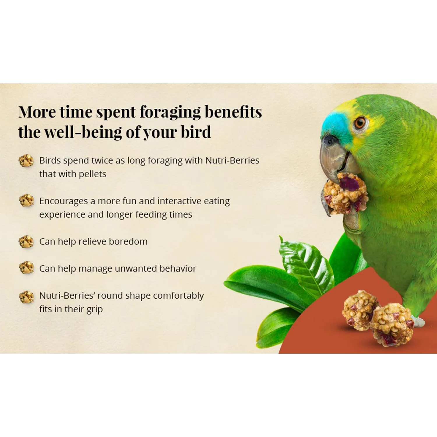 Lafeber Senior Bird Nutri-Berries Parrot Bird Food 3-lb - Image 6