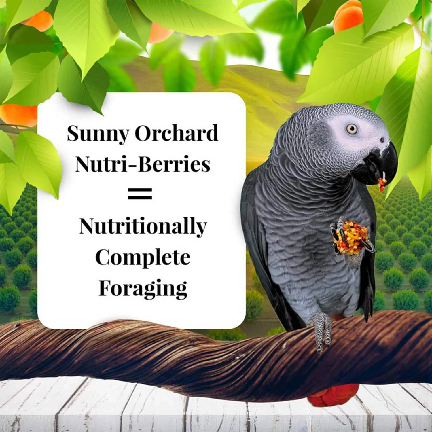 Lafeber Sunny Orchard Nutri-Berries Parrot Bird Food 3-lb - Image 6