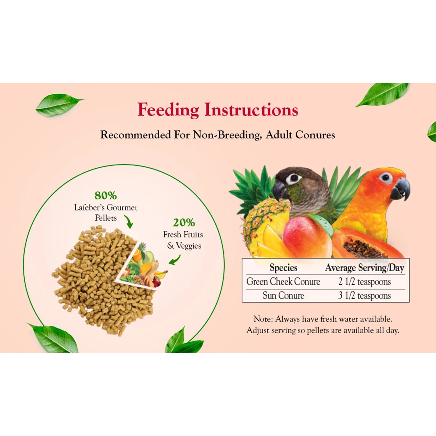 Lafeber Tropical Fruit Gourmet Pellets Conure Bird Food 4-lb - Image 11