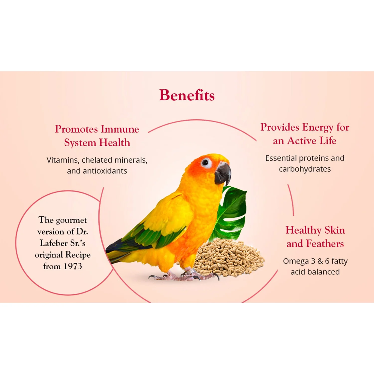 Lafeber Tropical Fruit Gourmet Pellets Conure Bird Food 4-lb - Image 4