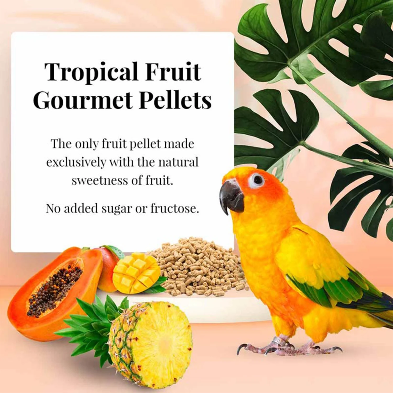 Lafeber Tropical Fruit Gourmet Pellets Conure Bird Food 4-lb - Image 8