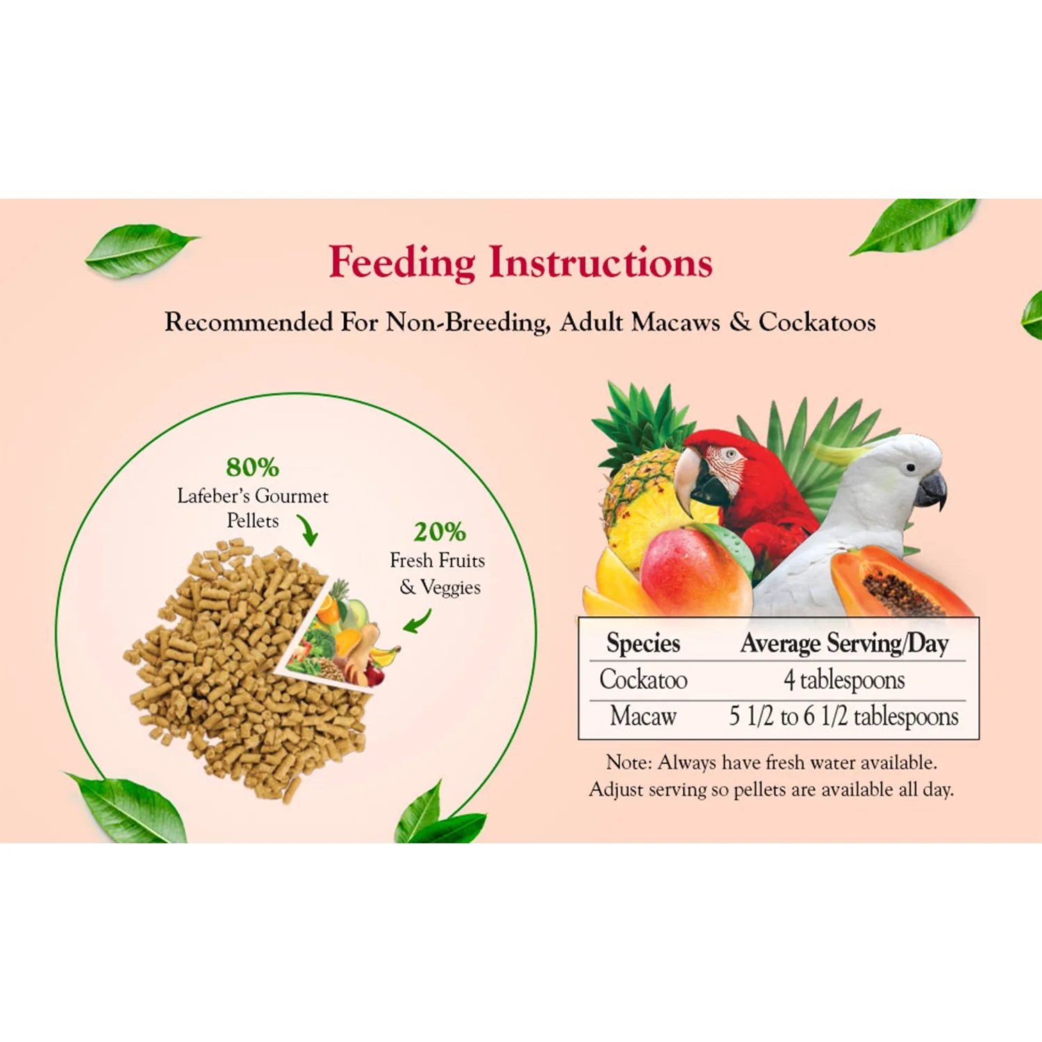 Lafeber Tropical Fruit Gourmet Pellets Macaw & Cockatoo Bird Food 4-lb - Image 11